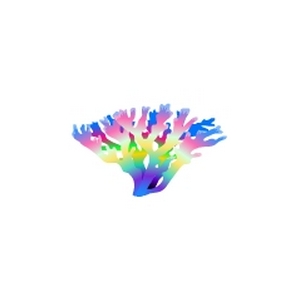 Vibrant Elkhorn Coral